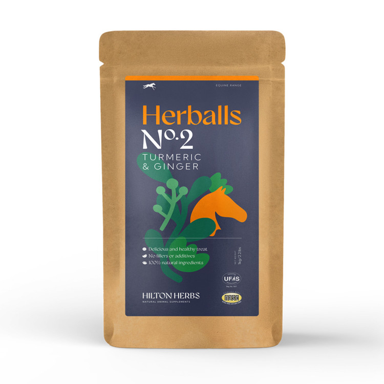 Herballs N° 2 Curcuma & Zenzero Hilton Herbs