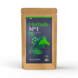 Snack premi per cavalli menta e origano Hilton Herbs