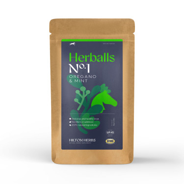 Snack premi per cavalli menta e origano Hilton Herbs