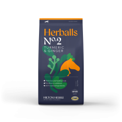 Herballs N° 2 Curcuma & Zenzero Hilton Herbs