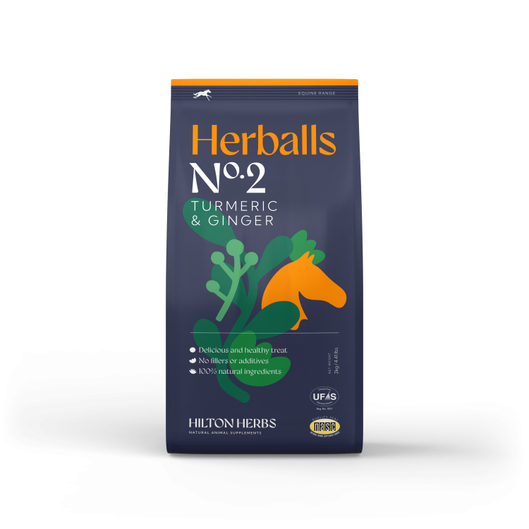 Herballs N° 2 Curcuma & Zenzero Hilton Herbs