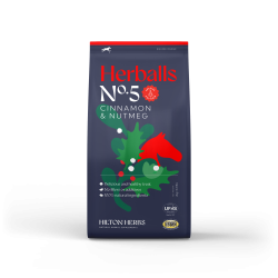 Snack equitazione Natale cannella noce moscata cavallo