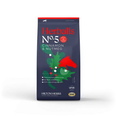 Snack equitazione Natale cannella noce moscata cavallo
