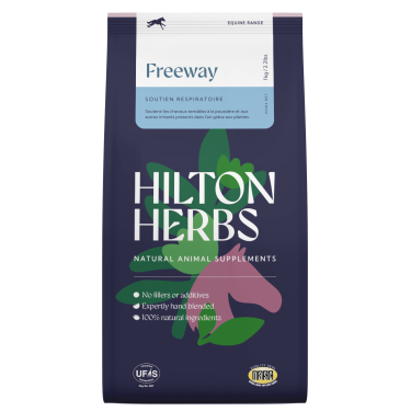 Freeway Hilton Erbe Freeway Hilton Erbe
