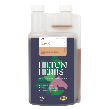 Nav X Gold Hilton Herbs Nav X Gold Hilton Herbs