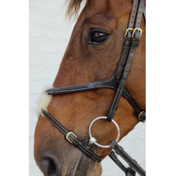 Briglia Capezzina Incrociata Intrecciata Collezione D Dy'on Nero