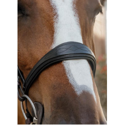 Museruola Anatomica Senza Sottogola New English Collection Dy'on