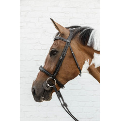 Museruola Anatomica Senza Sottogola New English Collection Dy'on Nero Museruola Anatomica Senza Sottogola New English Collection Dy'on Nero