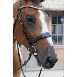 Museruola Anatomica senza Sottogola Collezione US Jumping Dy'on