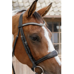 Museruola Anatomica senza Sottogola Collezione US Jumping Dy'on Nero