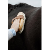Spazzola morbida Grooming Deluxe Marrone Spazzola morbida Grooming Deluxe Marrone