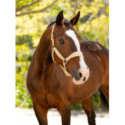 Capezzina LeMieux Versailles Mimosa