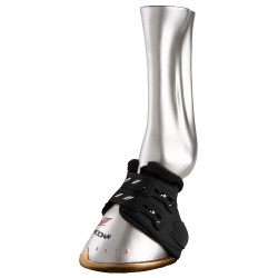 Paraglomi Zandona Carbon Air