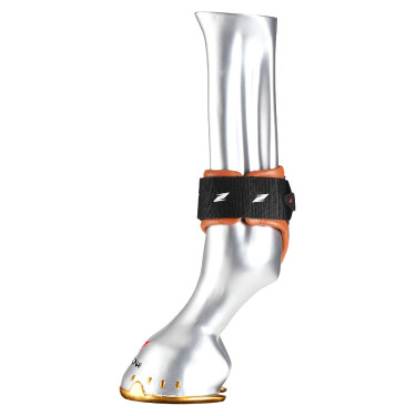 Paratendini Zandona Carbon Air Classic EVO per giovani cavalli Paratendini Zandona Carbon Air Classic EVO per giovani cavalli