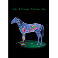 Stinchiere terapeutiche Zandona Air anteriori Nero Stinchiere terapeutiche Zandona Air anteriori Nero