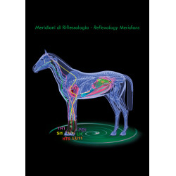 Stinchiere terapeutiche Zandona Air anteriori Stinchiere terapeutiche Zandona Air anteriori