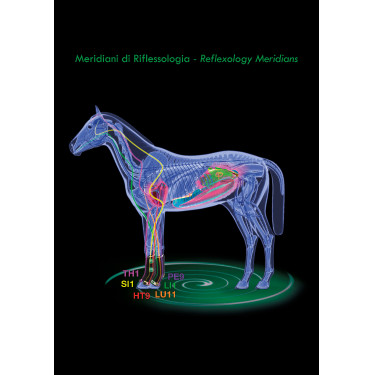 Stinchiere terapeutiche Zandona Air anteriori Stinchiere terapeutiche Zandona Air anteriori