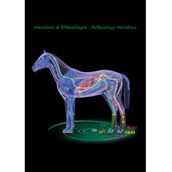 Stinchiere terapeutiche posteriori Zandona Air Stinchiere terapeutiche posteriori Zandona Air