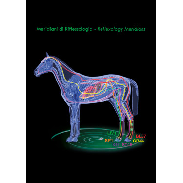 Stinchiere terapeutiche posteriori Zandona Air Stinchiere terapeutiche posteriori Zandona Air