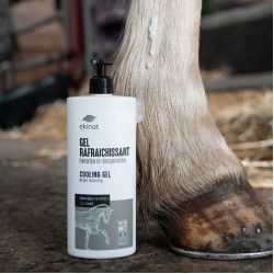 Gel rinfrescante Ekinat Gel rinfrescante Ekinat