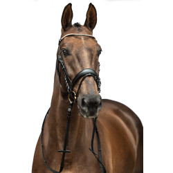 Bridon Copenaghen HKM