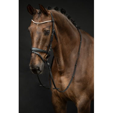 Bridon Copenaghen HKM Bridon Copenaghen HKM