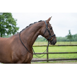 Bridon Copenaghen HKM Nero Bridon Copenaghen HKM Nero