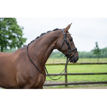 Bridon Copenaghen HKM Bridon Copenaghen HKM