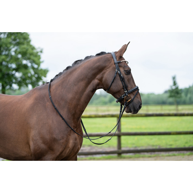 Bridon Copenaghen HKM Bridon Copenaghen HKM