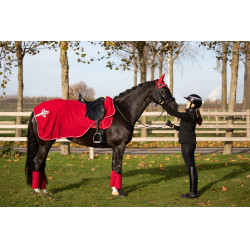 Fasce da polo HFI Velvet Rosso