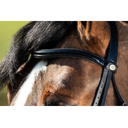 Brida convertible brida Weymouth HFI Nero / nero Brida convertible brida Weymouth HFI Nero / nero