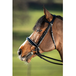 Brida convertible brida Weymouth HFI Nero / nero Brida convertible brida Weymouth HFI Nero / nero