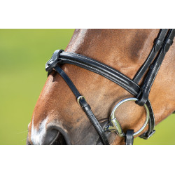 Briglia anatomica HFI Briglia anatomica HFI