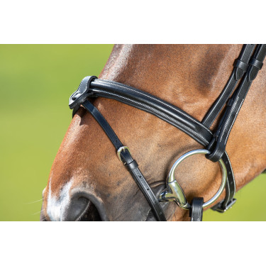 Briglia anatomica HFI Briglia anatomica HFI
