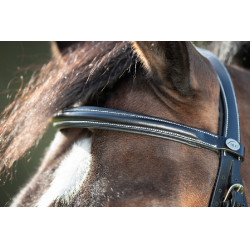 Briglia anatomica HFI Briglia anatomica HFI