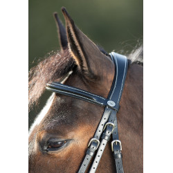 Briglia anatomica HFI Briglia anatomica HFI