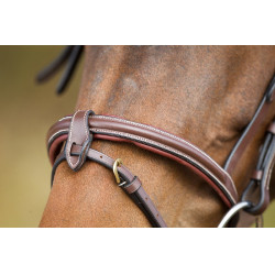 Briglia anatomica HFI Marrone