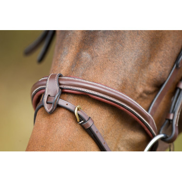 Briglia anatomica HFI Marrone