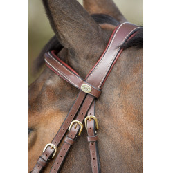 Briglia anatomica HFI Marrone