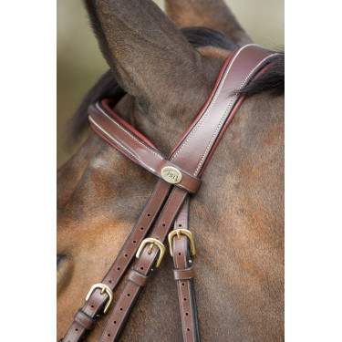 Briglia anatomica HFI Marrone