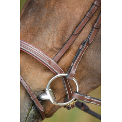 Briglia anatomica HFI Marrone