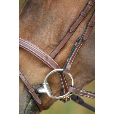 Briglia anatomica HFI Marrone
