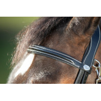 Briglia funzionale HFI Nero