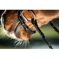 Bridon German HFI Marrone