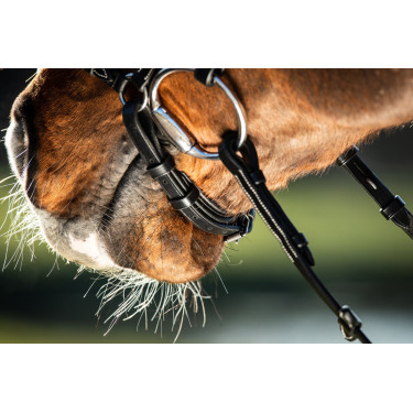 Bridon German HFI Nero