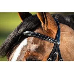 Bridon German HFI Nero