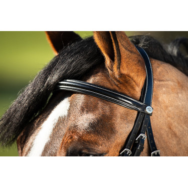 Bridon German HFI Nero