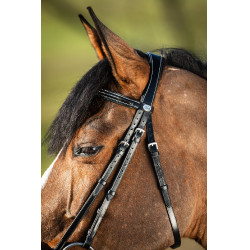 Bridon German HFI Nero