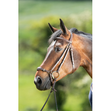Bridon German HFI Marrone