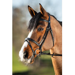 Bridon HFI Elegante